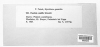Puccinia sessilis image